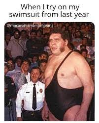 When I Try On My Swimsuit From Last Year Meme Ahseeit