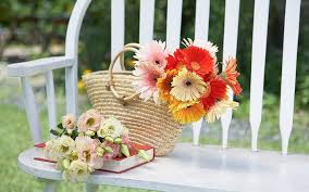 Mary remembers her father had taught her: Still Life Basket Book Flowers Bag Hd Wallpaper Peakpx