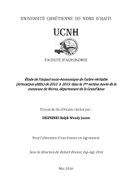 Pdf Memoire Ralph Corrected For Licence Ralph Despeines Academia Edu