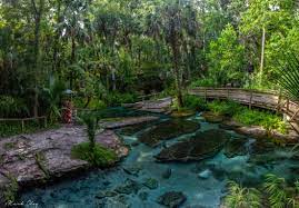 Explore the rivers and springs from a canoe, dive underwater to admire diverse aquatic life, or learn more about the local flora and fauna at the nature center. Wekiwa Springs State Park White Loop Trail To Rock Springs Apopka Florida Hiking The Appalachians And Beyond