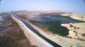 صور الأحساء حضارة إنسانية ومخزون تاريخي عمره 7 آلاف عام صحيفة المواطن الإلكترونية