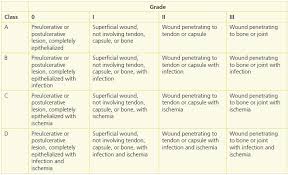 Image result for IDSA Diabetic Foot Wound Classification