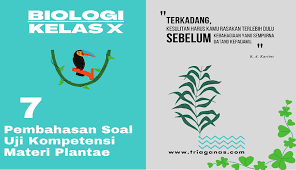 Jamur/fungi dulunya dikelompokkan dalam kingdom plantae karena struktur tubuhnya yang hampir sama dengan tumbuhan. Tumbuhan Paku Yang Dapat Digunakan Sebagai Pupuk Organik Karena Dapat Bersimbiosis Dengan Algae Untuk Mengikat N2 Dari Udara Adalah Triaganas Com