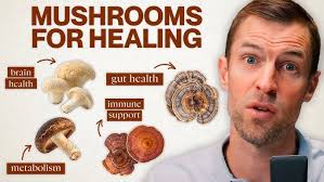 Cyndi Brown DVM Are Mushrooms Medicinal? Nov 2024