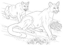 This cougar coloring pages will helps kids to focus while developing creativity, motor skills and color recognition. Cougar Coloring Pages Best Coloring Pages For Kids