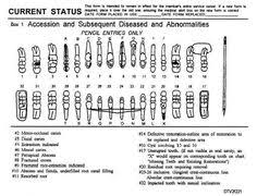 39 Best Dental Charting Images In 2019 Dental Dental