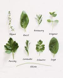 Pin By Anna B On Dans La Maison Herbs Planting Herbs Growing Herbs In Pots