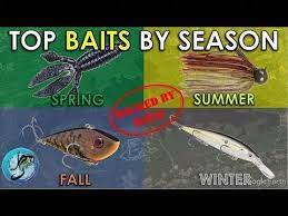 Top Bass Fishing Baits In Each Season Backed By Data Best Bass Lures Youtube Troutfishingrig Best Bass Lures Bass Fishing Bait Bass Lures