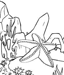 Realistic Cartoon Starfish Starfishdrawing Coloring Pages For Kids Coloring Pages Animal Coloring Pages