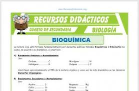 Check spelling or type a new query. Fichas De Biologia Para Cuarto De Secundaria Recursos Didacticos