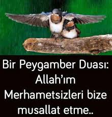Ela Ozturk Adli Kullanicinin Yasam Tarzi Panosundaki Pin Ozlu Sozler Dualar Guzel Soz