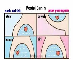 Emosi lelaki ibarat getah, manakala emosi perempuan ibarat ombak. Cahaya Mata Perbezaan Hamil Anak Lelaki Vs Anak Perempuan Facebook