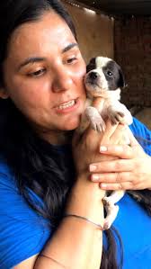 Aww is cutie ko iski mumma ne maar diya #puppy #puppies #puppylove  #puppylovers #puppylife #dogmother #dogmom #dog #dogs #dogfood #doglife  #doglover #doglovers #supportus #blessings #love #reels #viral #instareels  #insta #instagram #fb #fbreels #