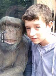 Maybe you would like to learn more about one of these? As A Kid A Chimpanzee With Alopecia Posed For A Picture With Me 9gag