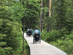 barrierefrei durchs hochmoor die schonsten wege auf dem kaltenbronn sind barrierefrei wir stellen euch die in 2021 ausflugsziele schwarzwald schwarzwald barrierefrei