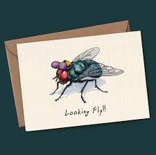 Save 50% off almost everything. Looking Fly Card Funny Insect Card Bewilderbeest