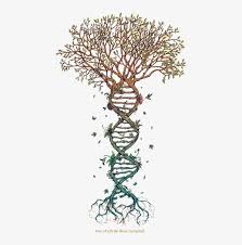 Free Free 120 Family Tree With Roots Svg Free SVG PNG EPS DXF File