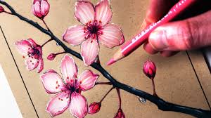 I really hope this is helpful. How To Draw Cherry Blossoms Youtube