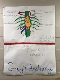 Greys Anatomy Floor Theme Greys Anatomy Grey Hallway Theme