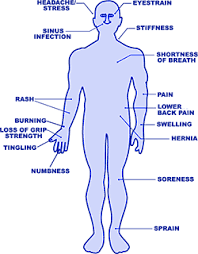 body part diagram for workplace injuries wiring diagrams