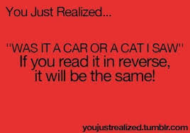 Memes Continuing You Just Realized You Just Realized Funny Quotes Really Funny