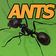 The new build includes the following changes: Descargar Win At Pocket Ants Simulator V1 3 Mod Compra Gratuita Apk Descargar Dinero Ilimitado Mod Apk