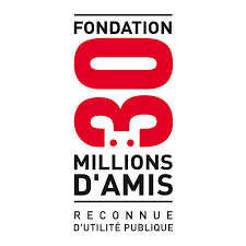 La cause de cette maltraitance est la prolifération des animaux sur l'île, en raison de leur abandon et de leur reproduction. Les Grandes Associations Ensemble Pour Les Animaux