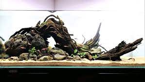 Pin By Florin Chetea On Thủy Sinh Pekerjaan Kayu