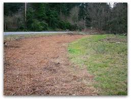 Maybe you would like to learn more about one of these? Brambles Gone Wild How To Remove Blackberries Tall Clover Farm