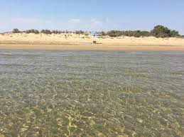 Spiaggia di Santa Maria del Focallo: Tra dune ed acqua transparente