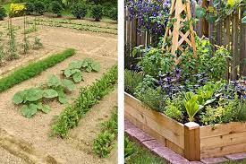 Designing a garden is about making an outdoor space that accommodates all the needs of the family. How To Design Your Backyard Vegetable Patch Modularwalls
