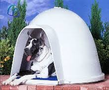 Dogloo Igloo Dog Houses