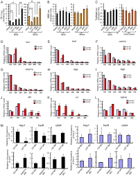 Legal factors are a crucial part of external analysis as it can bring devastating threats to multinational cirque especially on consumer laws, labour rights and safety standards. Uxt Potentiates Angiogenesis By Attenuating Notch Signaling Development