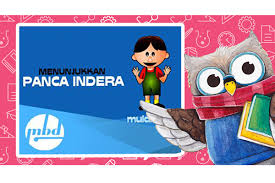 Gambar animasi tema diri sendiri. Materi Belajar Untuk Tk Mengenal Diri Sendiri Blog Primaindisoft
