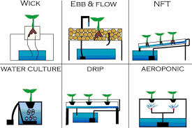 Dalam kes ini, jika kita bekerja dengan tanaman hidroponik, dua unit bahagian per ju. 6 Sistem Hidroponik Kelebihan Keunggulan Kekurangannya Petani Digital