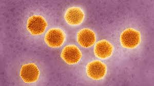You're most likely to get hepatitis a from contaminated food or water or from close contact with a person or object that's infected. Hepatitis Das Hepatitis Alphabet Krankheiten Gesellschaft Planet Wissen