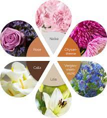 Maybe you would like to learn more about one of these? Welche Blumen Zur Beerdigung Trauerfeier Mitbringen Tops Flops
