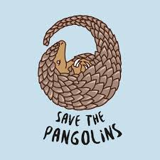 Save The Pangolins T Shirts Apparel Gifts And More Tee Public Savepangolins Pangolin Lovepangolins Pangolin Pangolin Art Easy Animals