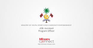 The effect of the application of ict skills on the process of knowledge management components and the effectiveness of creativity indicators for the. Assistant Program Officer Ministry Of Youth Sports And Community Empowerment Mihaaru Connect