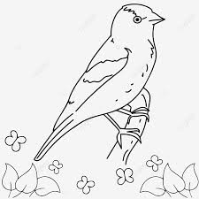 This also helps them to upgrade their skills. Decorative Cardinal Birds Mandala Adult Coloring Pages Black And White Line Art Illustration For Book Vector Illustrations Children Bluebird Vector Bluebird Outline Bluebird Coloring Book Png And Vector With Transparent Background For