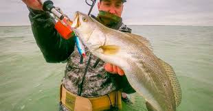 Gator Trout Catching Big Specks With The Speckled Truth Inshore Fishing Kayak Fishing Trout