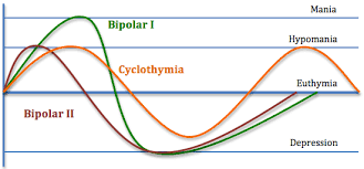 bipolar disorder in adults information for primary care