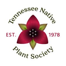 Yard size does not matter since yards certainly come in all sizes. Tennessee Native Plant Society Recognize Protect Plant Join