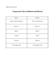 Mitosis And Meiosis Comparison Chart Name Meema Noman