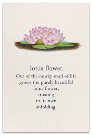 Eveline221 4.475 views1 month ago. Why The Lotus Flower Was The Perfect Fit The Medieval Times