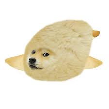 Doge wallpaper 1920x1080 87 images. Seal R Dogelore Ironic Doge Memes Know Your Meme