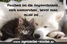 Lustige Spruche Kostenlos Fur Whatsapp