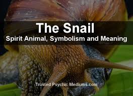 The Snail Spirit Animal A Complete Guide To Meaning And Symbolism Animal Spirit Guides Snail Spirit Animal