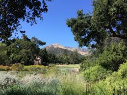 Santa Barbara Botanical Garden Beautiful Nature Botanical Gardens Nature
