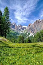 Alto Adigio Italia Beautiful Places Nature Nature Photography Nature Pictures